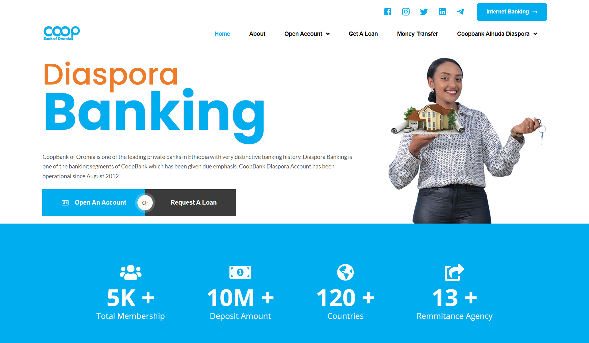 An image of the Diaspora Banking Website project.